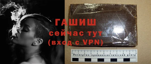 соль ск Дмитриев