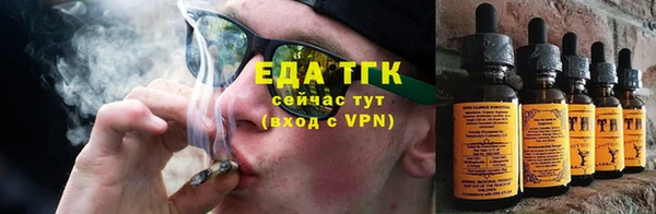 стаф Дмитров