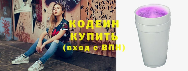 соль ск Дмитриев