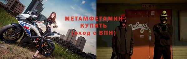 трава Ельня