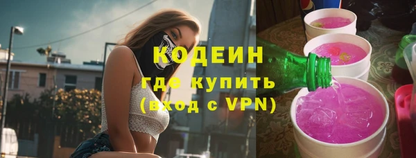 соль ск Дмитриев
