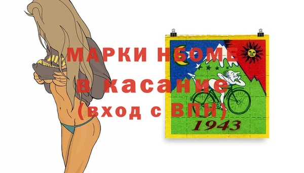 стаф Дмитров