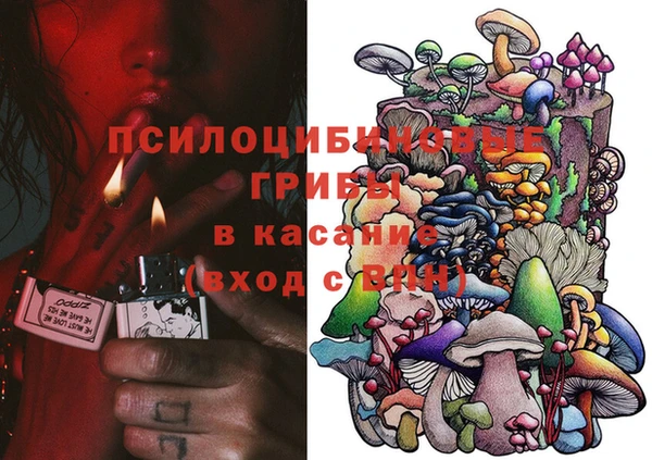 стаф Дмитров