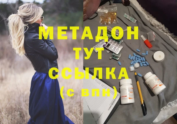 стаф Дмитров