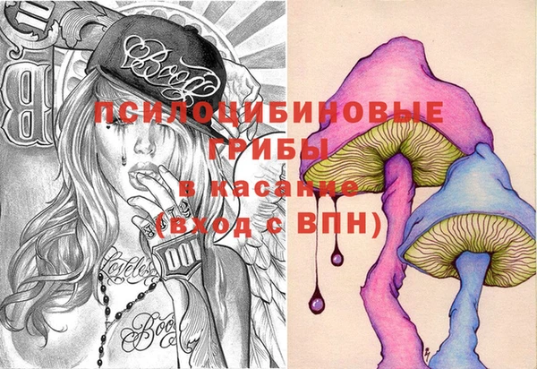 дурь Дмитровск