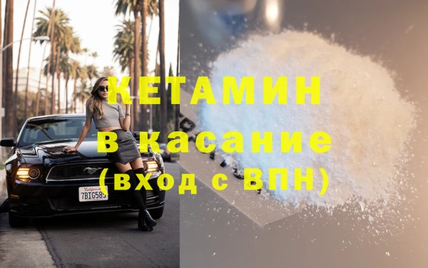 стаф Дмитров