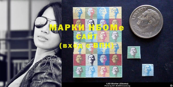 стаф Дмитров
