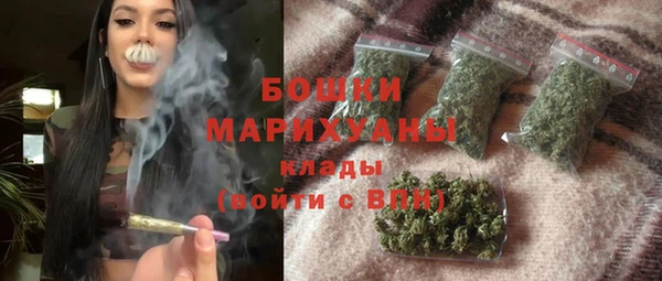 стаф Дмитров