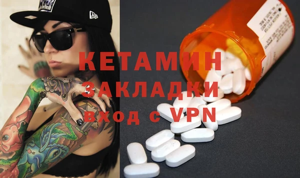 стаф Дмитров