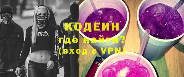 соль ск Дмитриев