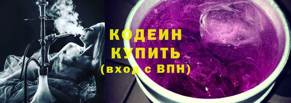 соль ск Дмитриев