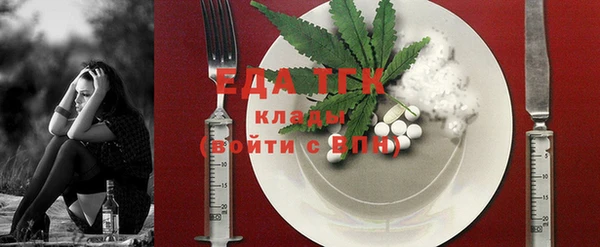 соль ск Дмитриев