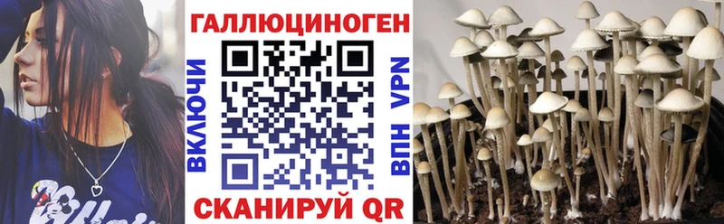 Псилоцибиновые грибы прущие грибы  Зеленодольск 