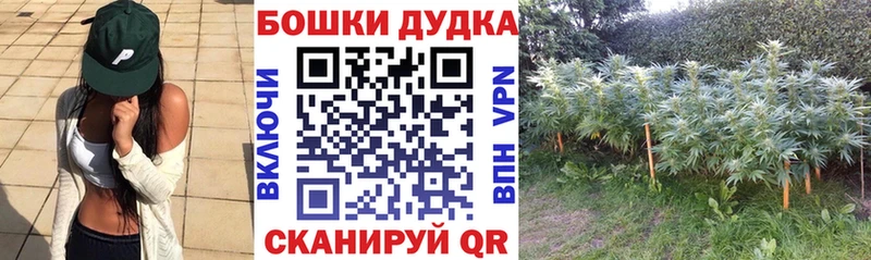Марихуана гибрид  МЕГА ССЫЛКА  Зеленодольск  наркота 